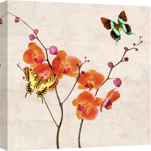 Tableau sur toile. Teo Rizzardi, Orchidées et papillons I