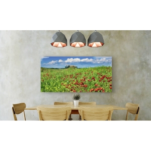 Wall art print and canvas. Krahmer, Farm house with cypresses and poppies, Tuscany, Italy