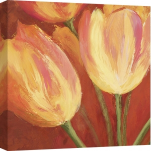 Wall art print and canvas. Silvia Mei, Orange Tulips (detail)