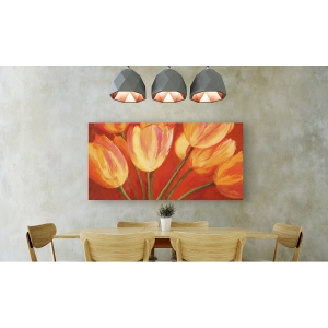 Leinwandbilder Blumen. Silvia Mei, Orange Tulips