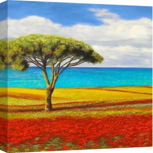 Cuadros de paisajes de campo en canvas. Masera, Mediterraneo I