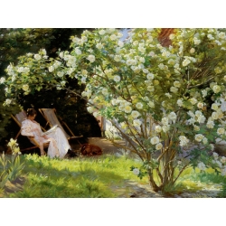 Tableau sur toile. Peder Severin Krøyer, Roses
