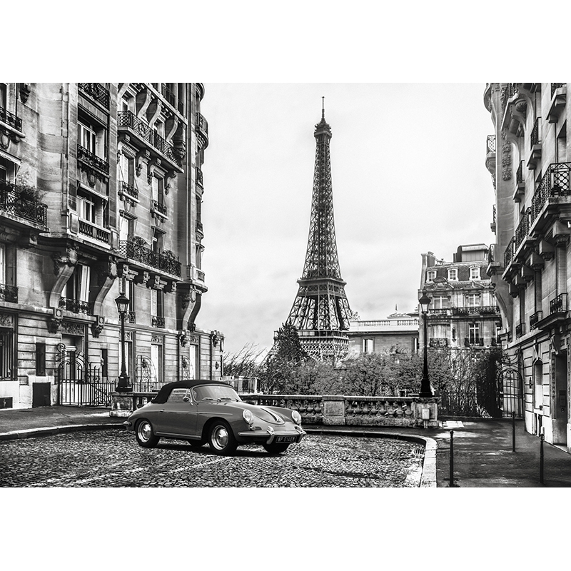 Wall art print and canvas. Gasoline Images, Roadster in Paris