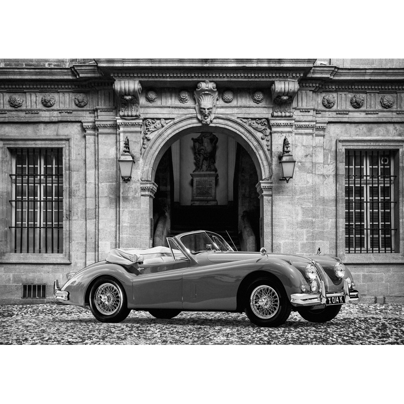 Leinwandbilder. Luxury Car in front of Classic Palace (BW)