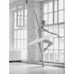 Quadro, stampa su tela. Haute Photo Collection, Ballerina Rehearsing
