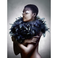 Cuadro en canvas, fotografía. Julian Lauren, Woman with Feathered Scarf