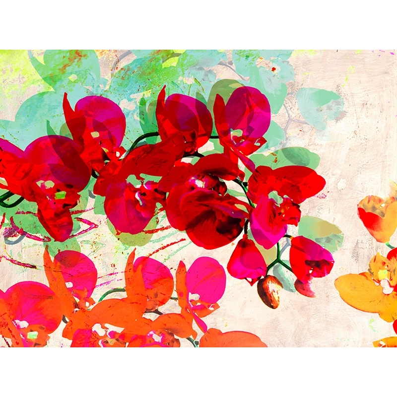 Wall art print and canvas. Kelly Parr, Orchidreams