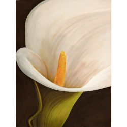Cuadros de flores modernos en canvas. Serena Biffi, Calla moderna II