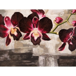 Cuadros de flores modernos en canvas. Shin Mills, Orquídeas de terciopelo