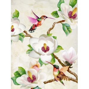 Cuadros de flores modernos en canvas. Terry Wang, Magnolia y colibrí
