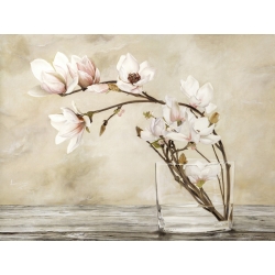 Wall art print and canvas. Cristina Mavaracchio, Magnolia Flowers
