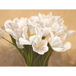 Cuadros de flores en canvas. Sanna, Tulipanes blancos