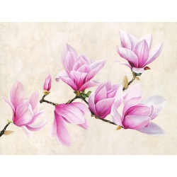 Cuadros de flores en canvas. Luca Villa, Rama de Magnolia