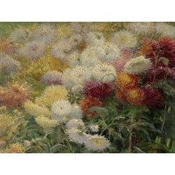 Wall art print and canvas. Gustave Caillebotte, Chrysanthemums in the Garden at Petit-Gennevilliers