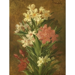 Cuadro en canvas. Chabal-Dussergey, Adelfa en flor roja y blanca