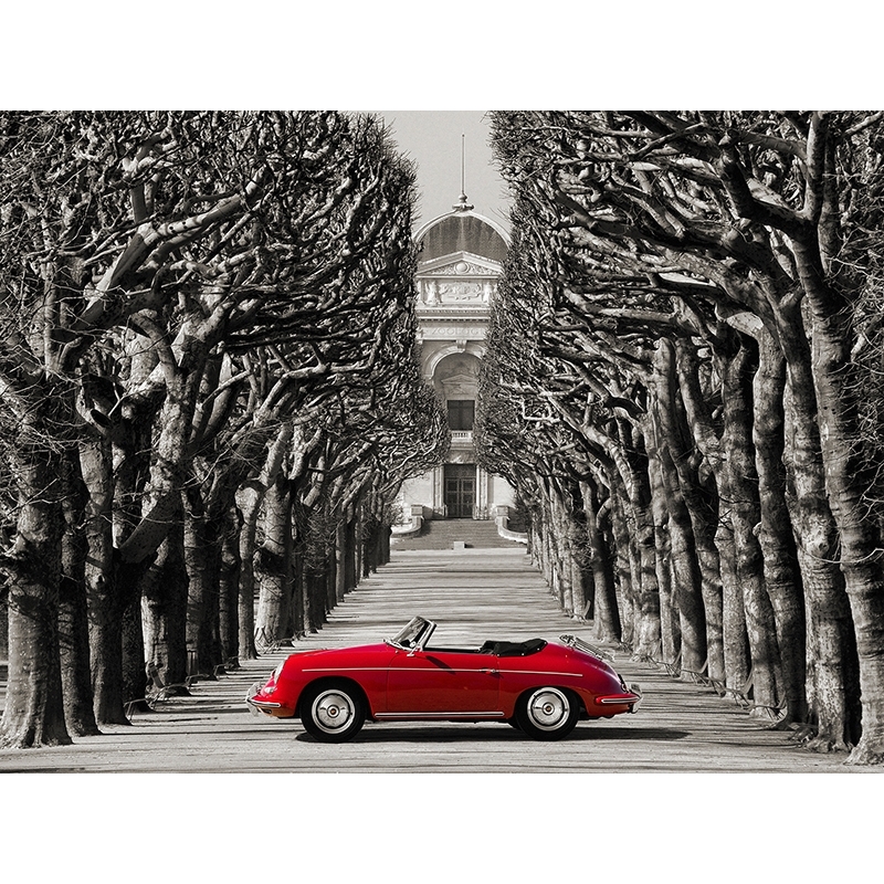 Wall art print and canvas. Gasoline Images, Roadster in tree lined road, Paris