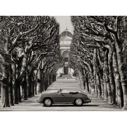 Leinwandbilder. Roadster in tree lined road, Paris (BW)