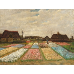 Tableau sur toile. Vincent van Gogh, Champs de fleurs en Hollande