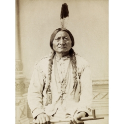 Quadro, stampa su tela. Indiani d'America – Toro Seduto, Lakota, 1885