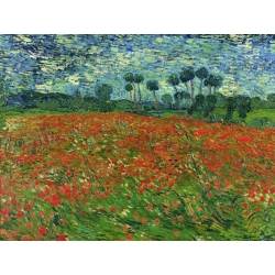 Wall art print and canvas. Vincent van Gogh, Poppy field