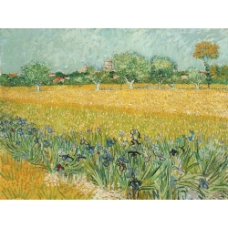 Wall art print and canvas. Vincent van Gogh, Field with Irises near Arles