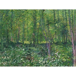 Tableau sur toile. Vincent van Gogh, Arbres et sous-bois