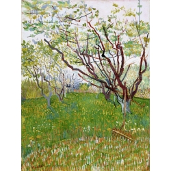 Wall art print and canvas. Vincent van Gogh, The Flowering Orchard