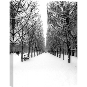 Quadro, stampa su tela. Michel Setboun, Il Parco delle Tuileries a Parigi sotto la neve
