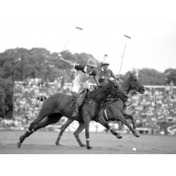Wall art print and canvas. Polo players, Argentina