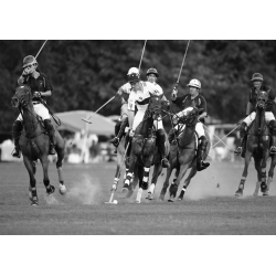 Wall art print and canvas. Polo players, New York
