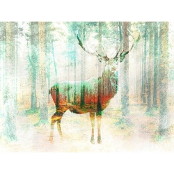 Tableau sur toile. Arlo Wren Photos, Lord of the Woods