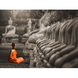 Quadro, stampa su tela. Pangea Images, Giovane monaco buddista in preghiera, Tailandia (BW)