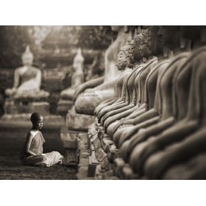 Leinwandbilder. Junger buddhistischer Mönch im Gebet, Thailand (Sepia)