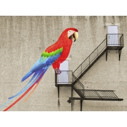 Wall art print and canvas. Masterfunk Collective, Escape from your cage