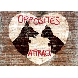 Wall art print and canvas. Masterfunk Collective, Opposites attract