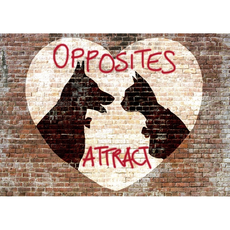 Wall art print and canvas. Masterfunk Collective, Opposites attract