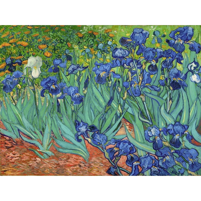 Wall Art Print And Canvas Vincent Van Gogh Irises