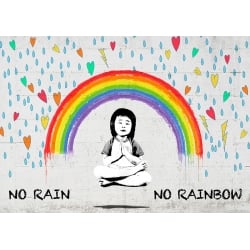 Wall art print and canvas. Masterfunk Collective, No Rain No Rainbow