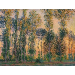 Quadro, stampa su tela. Claude Monet, Pioppi a Giverny, alba