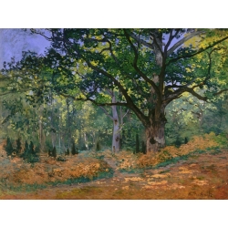 Cuadro en canvas. Monet, Roble Bodmer en el bosque de Fontainebleau