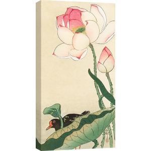 Cuadro japoneses en canvas. Koson Ohara, Flores de loto