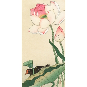 Tableau sur toile. Koson Ohara, Fleurs de lotus