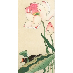 Leinwandbilder Japanische Kunst. Koson Ohara, Lotusblumen