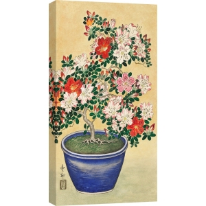 Cuadro japoneses en canvas. Koson Ohara, Azaleas en flor en maceta azul