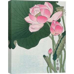 Leinwandbilder Japanische Kunst. Lotus in voller Blüte