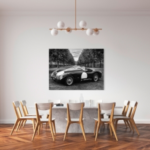 Wall art print and canvas. Gasoline Images, Vintage Roadster in a Park