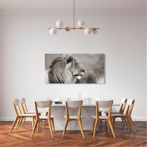 Wall art print and canvas. Anonymous, Male lion in Namibia (BW)