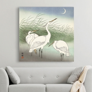 Cuadro japones en canvas. Koson Ohara, Herons in shallow water