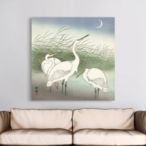 Cuadro japones en canvas. Koson Ohara, Herons in shallow water