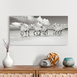 Wall Art Print and Canvas. Horses running on the beach (BW)